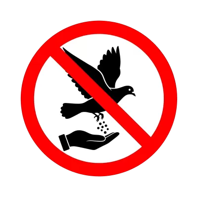 Imagen PNG para descargar